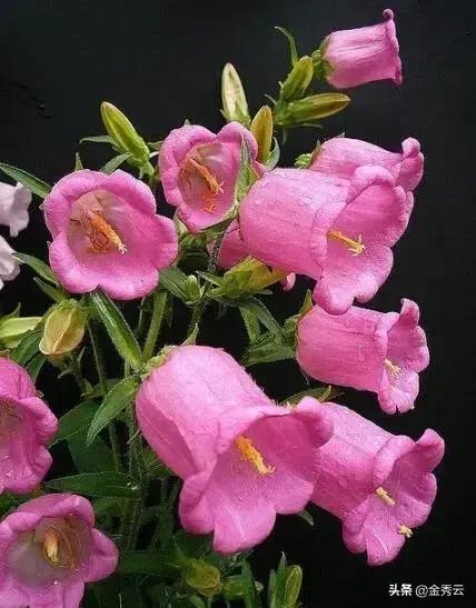 善于隐藏的人很可怕？：隐藏的人