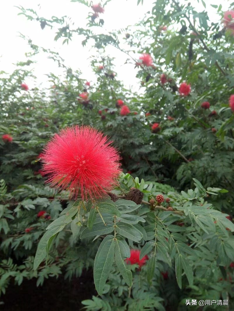 相册里的照片怎么保存?:怎么保存图片 相册里的照片怎么保存?:怎么保存图片