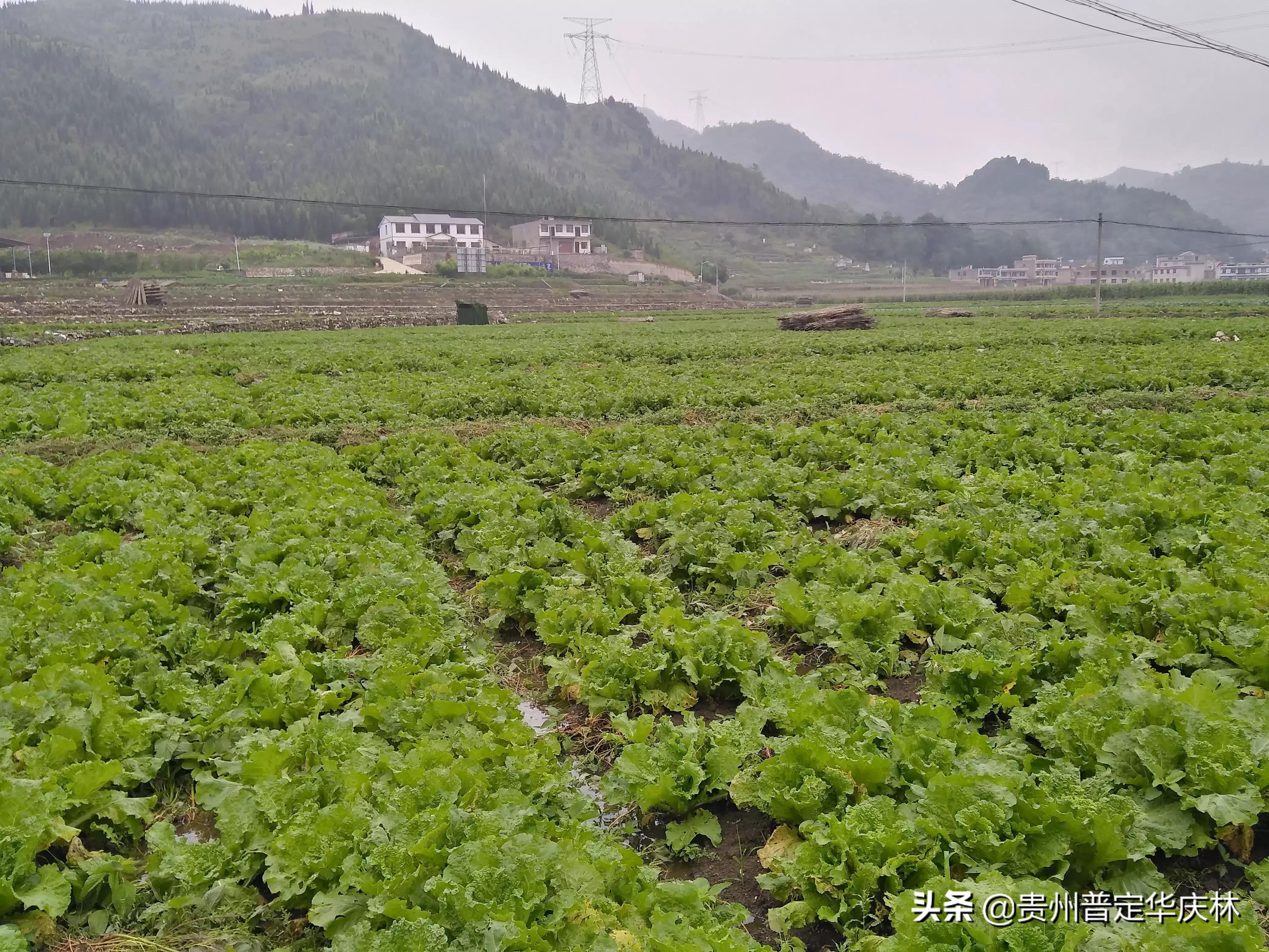 农民遇到困难找什么部门解决？
