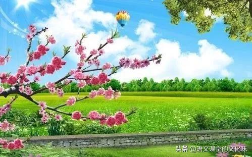 批评网络热门化妆技巧
