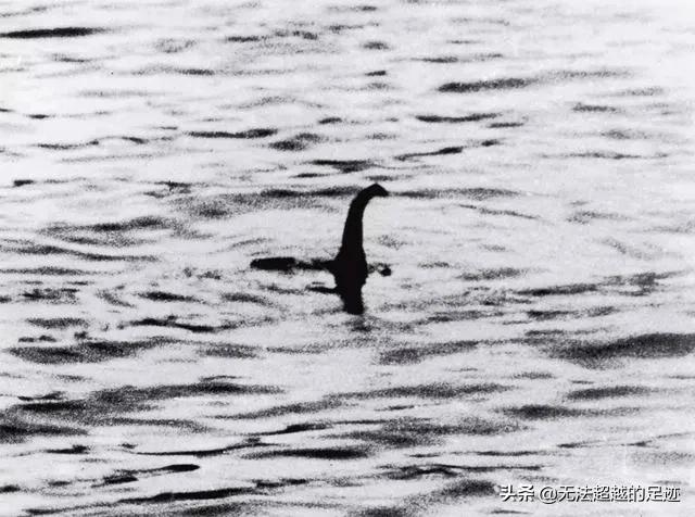 [尼斯湖水怪再被拍到]尼斯湖水怪是否真实存在？