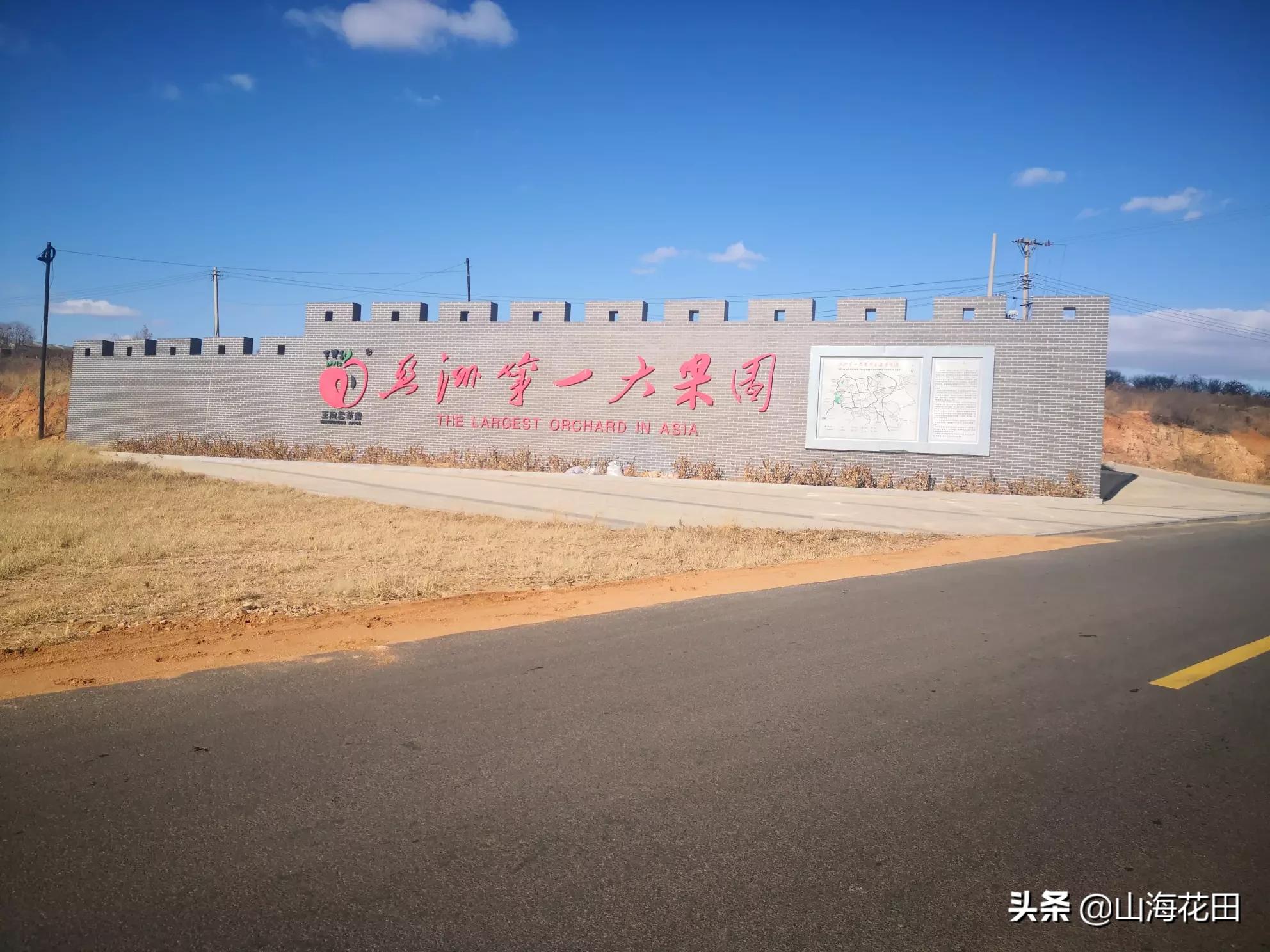 兰州市静宁苹果在哪里买