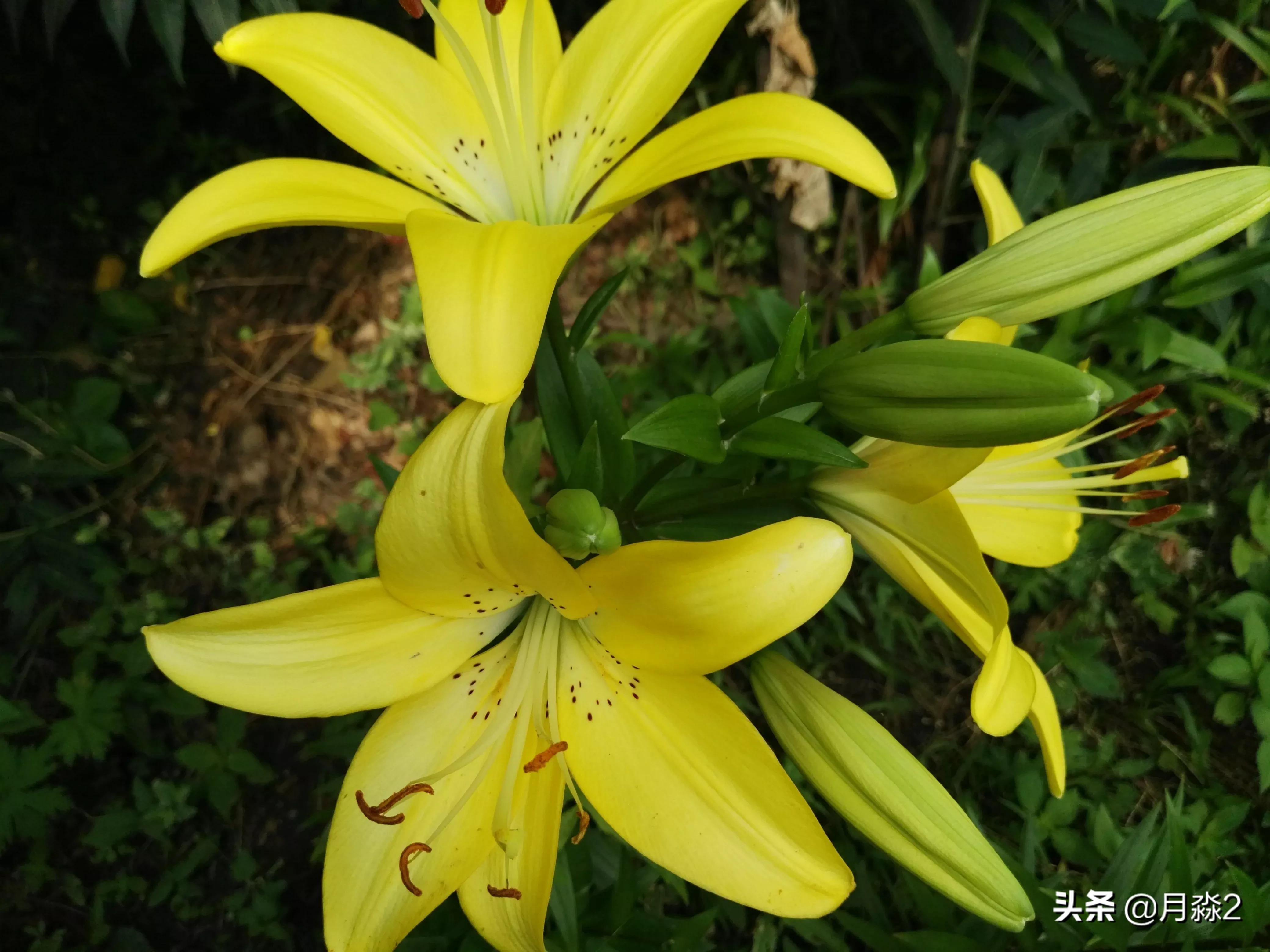 女孩喜欢什么女孩喜欢什么礼物 女孩喜欢什么女孩喜欢什么礼物