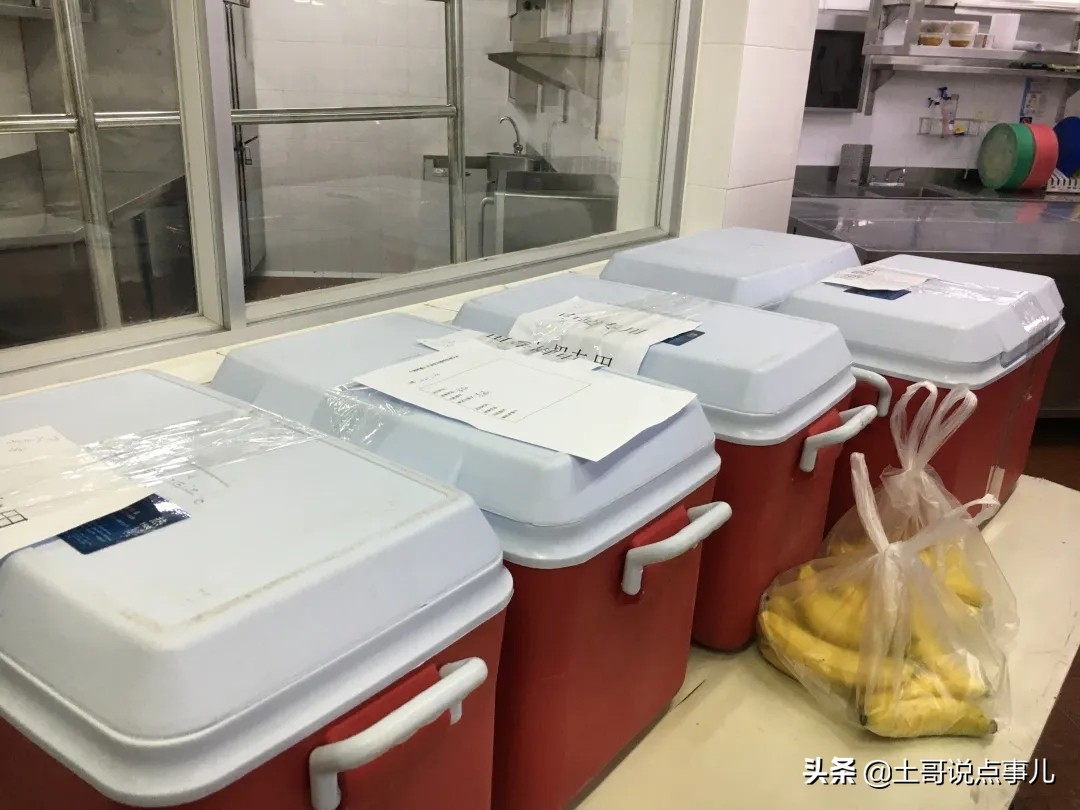 海外生活 抓海鲜视频，海外生活 抓海鲜视频大全