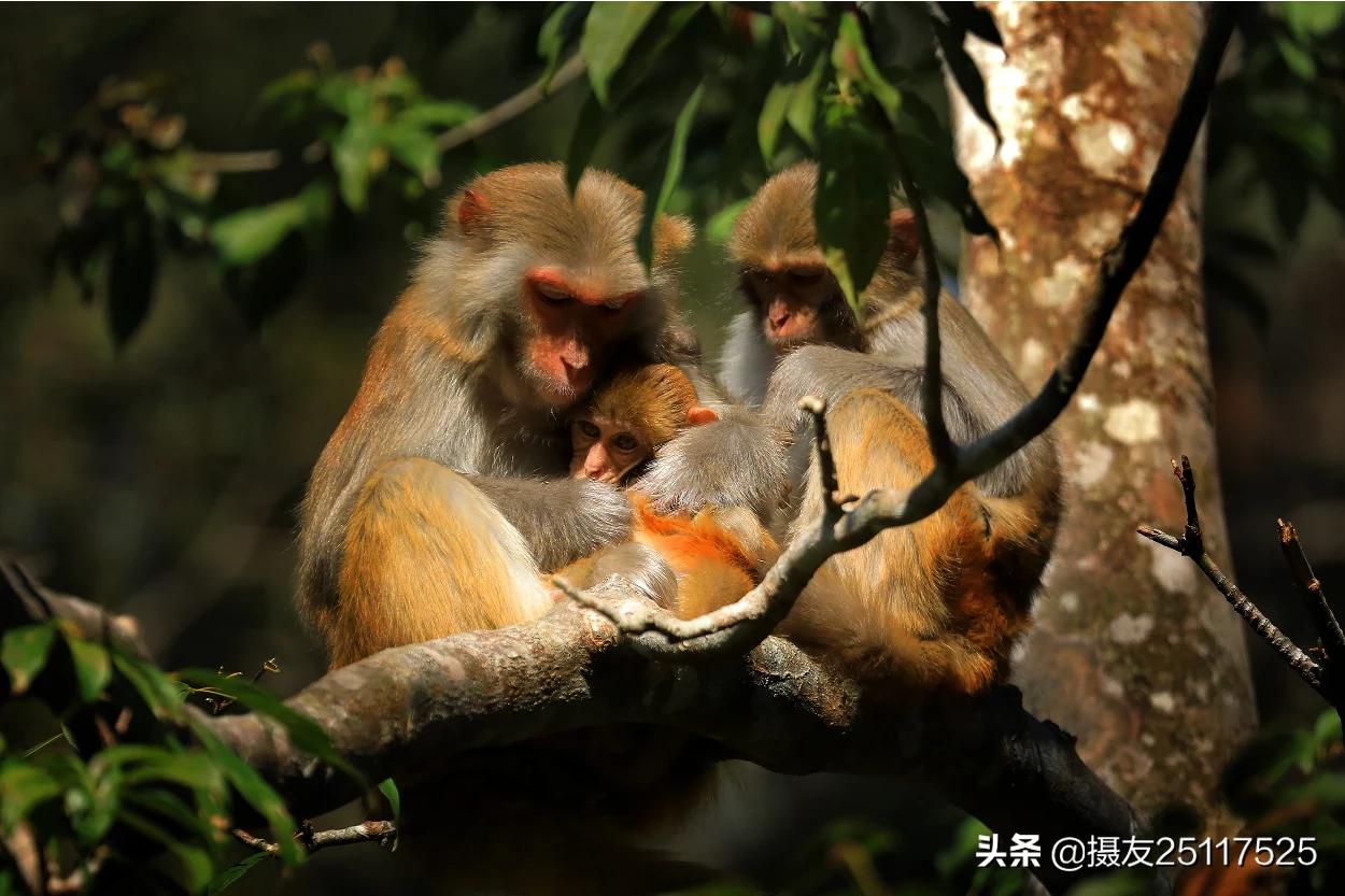 [相机sd卡]相机用SD卡普通卡和高速卡到底有什么区别？