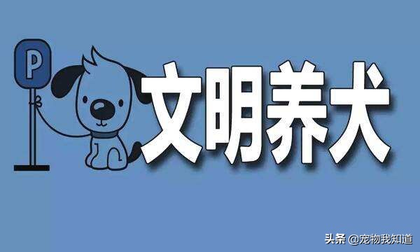 大型犬（适合懒人养的10种大型犬？）