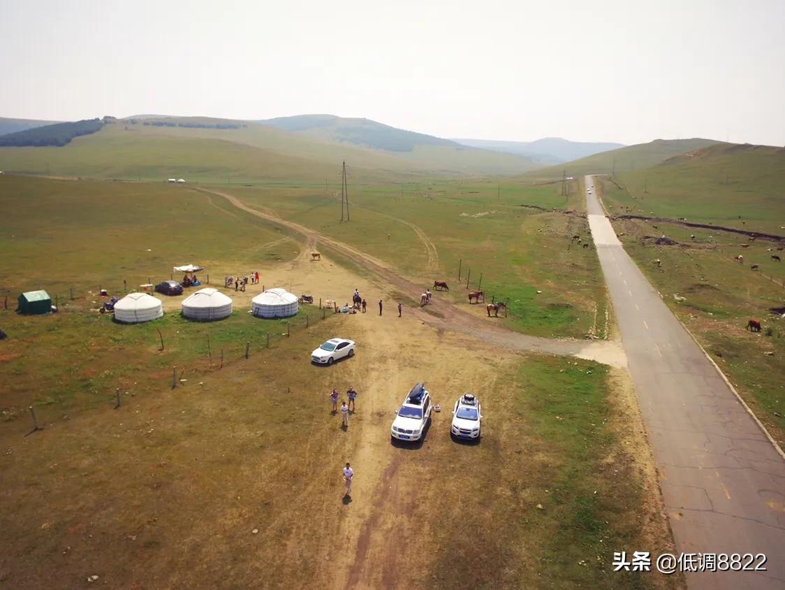 女生发树的图片意思？：草原照片