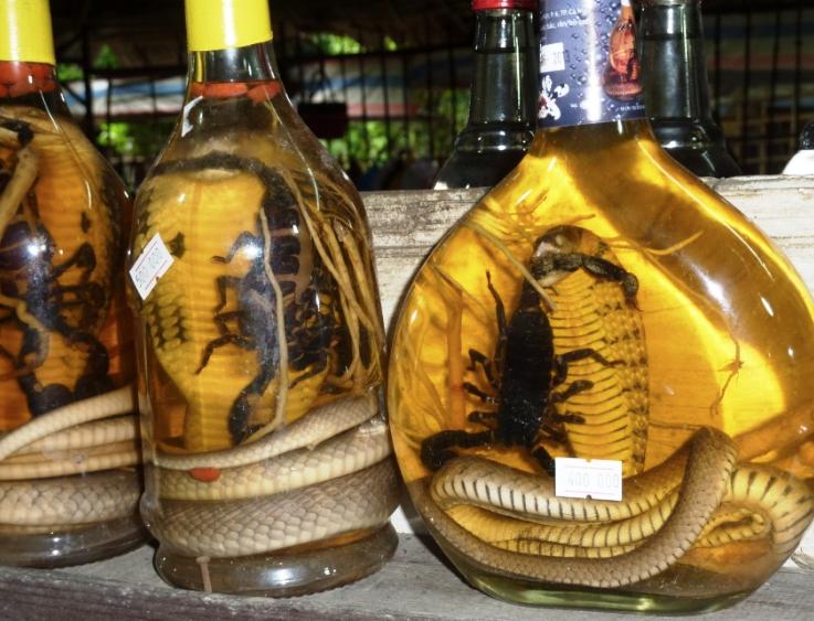 你对眼镜蛇泡酒一个月，开封后复活咬死人，你怎么看？：男童咬死眼镜蛇生还