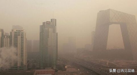 记录海外生活日本，记录海外生活日本人的电影