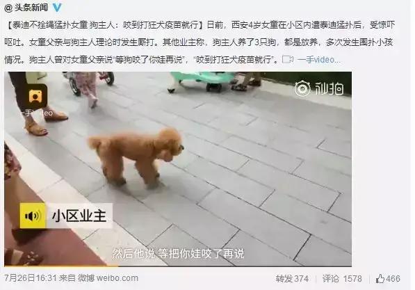 一女童被大型犬咬伤