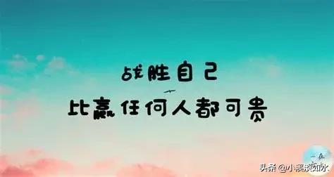 怎么用用环境搭建网站