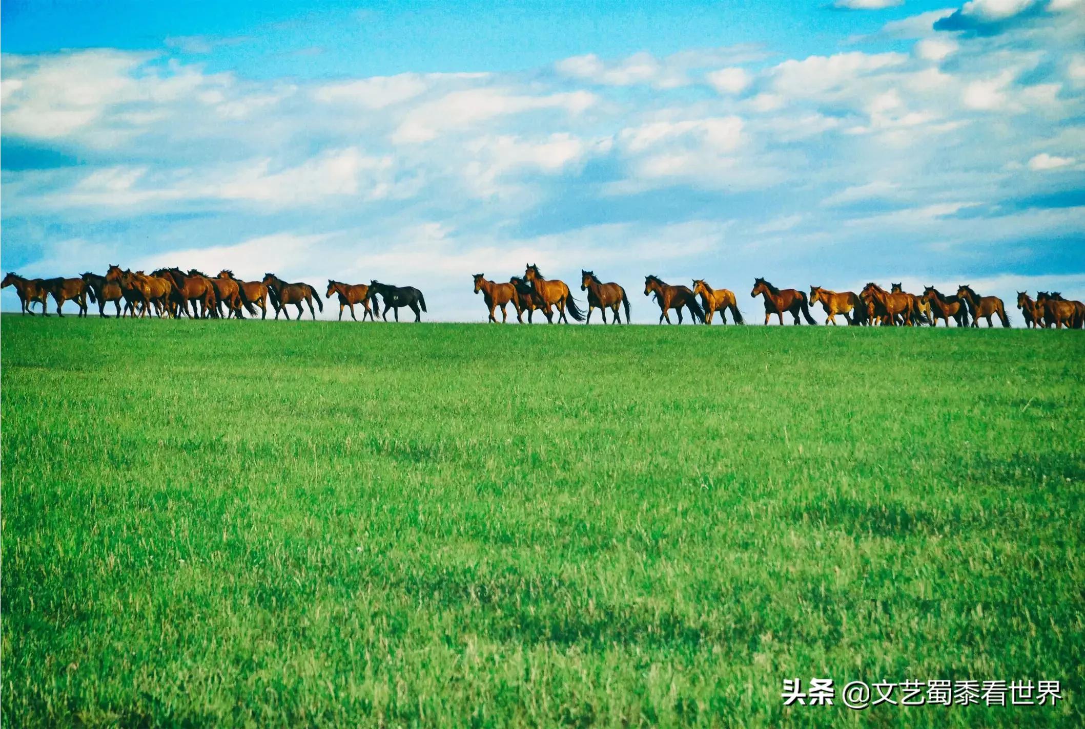 女生发树的图片意思？：草原照片