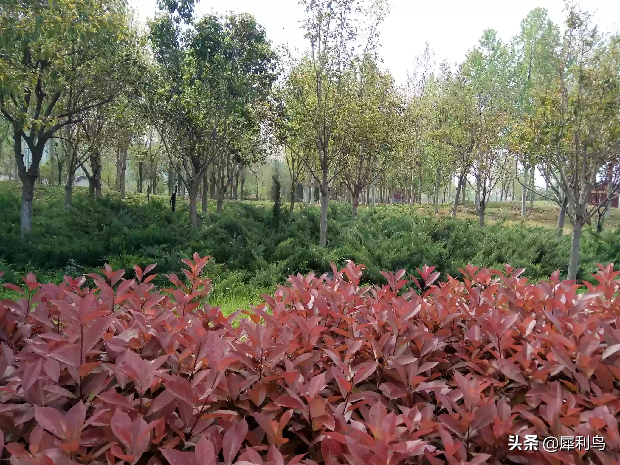 学生假期安全教育内容？：快乐暑假，安全不放假