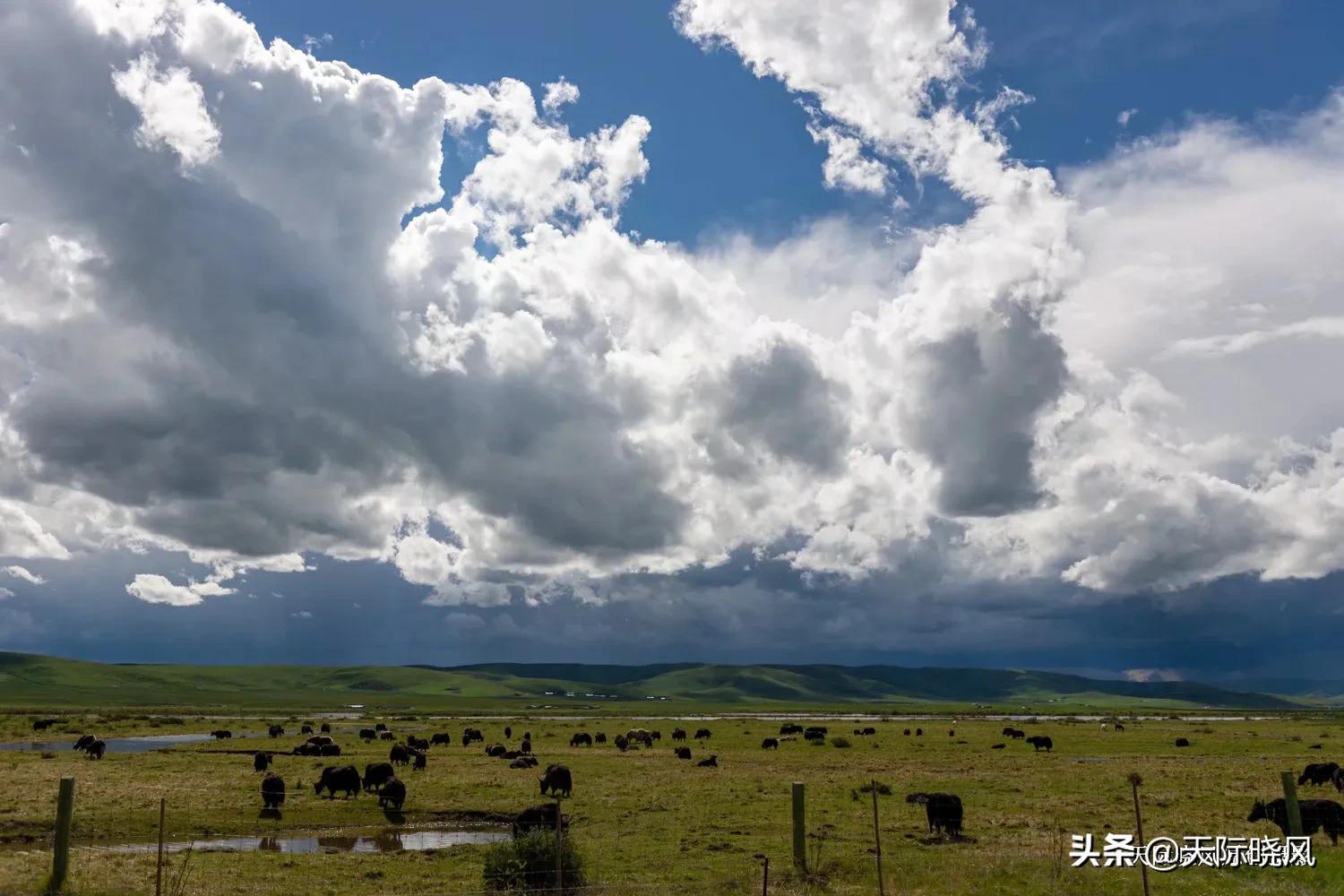 尼康d850（尼康d850深度评测？）