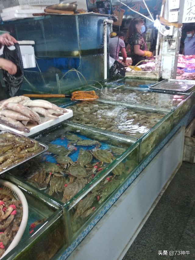 海外生活 抓海鲜视频，海外生活 抓海鲜视频大全