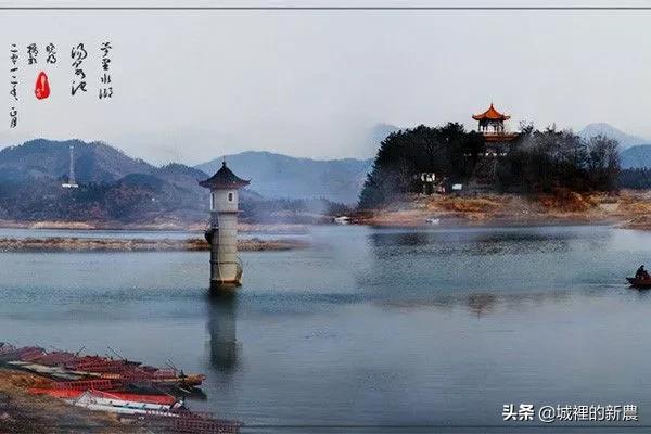 河南哪个村买房好点