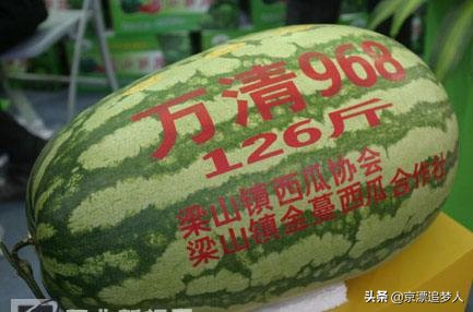 每人每年吃近百斤瓜（经常看到各西瓜种植区瓜王比赛，哪些百斤以上瓜王是怎么种出来的？）