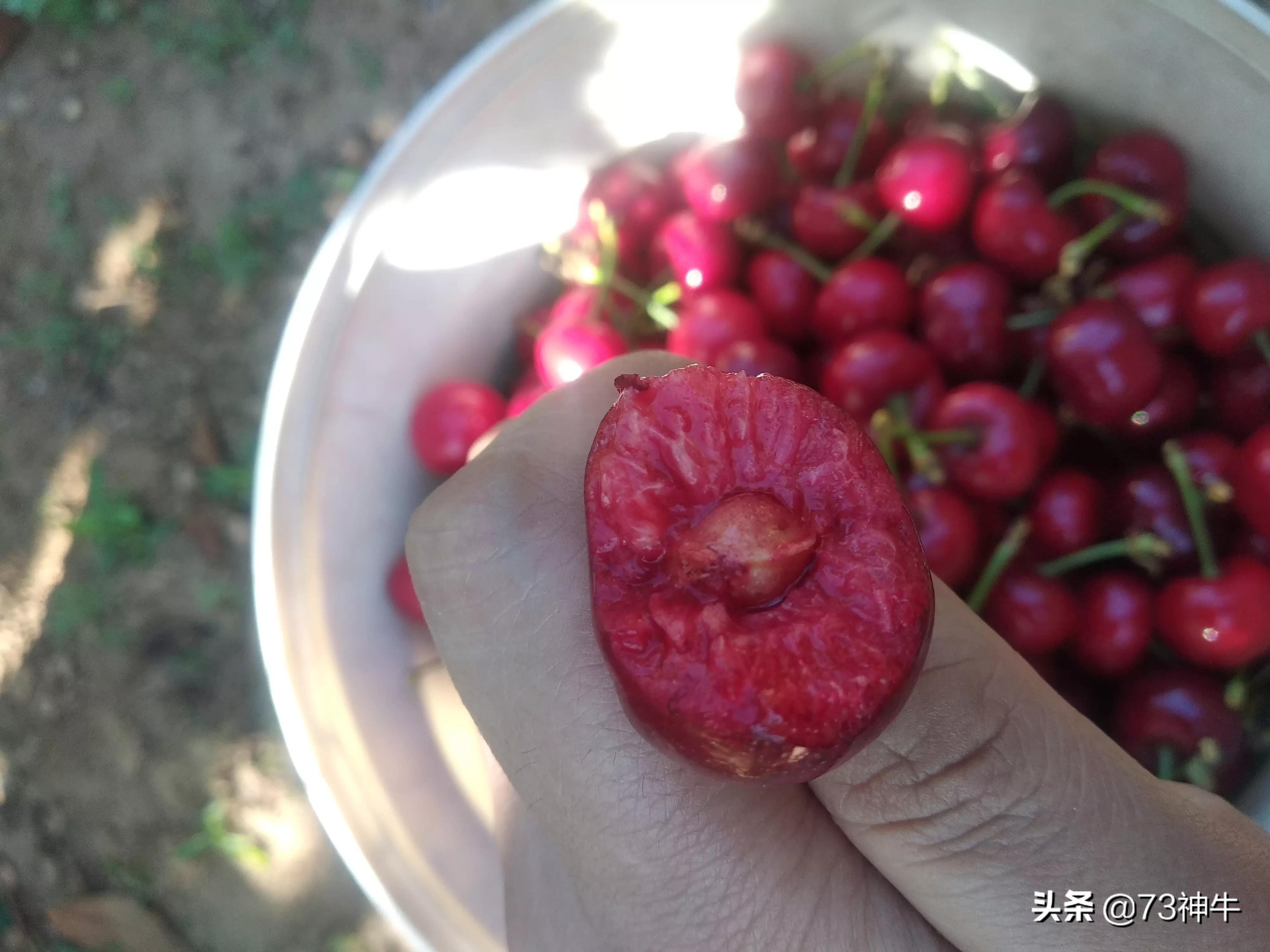 俄罗斯八号汽车品牌介绍,俄罗斯八号汽车品牌介绍图片