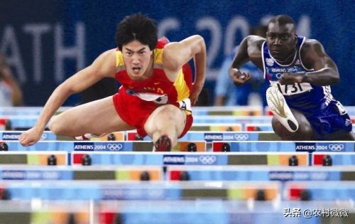 校园体育赛事宣传app（有什么为大型体育赛事做专题报道的app软件推荐？）