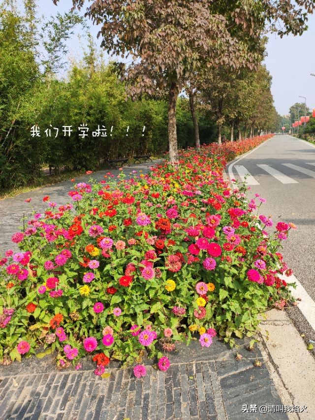 明天武汉高一、高二复学，你们有什么感慨吗？