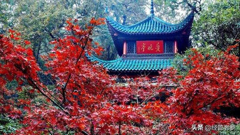 长沙市区有什么样的景区