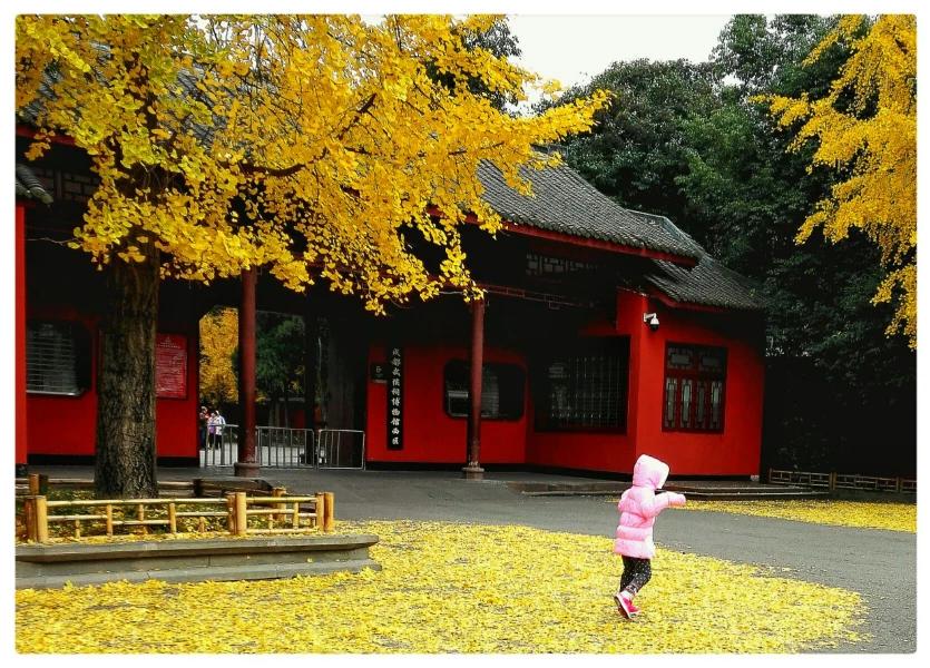 [秋天有什么]秋天的事物都有哪些？