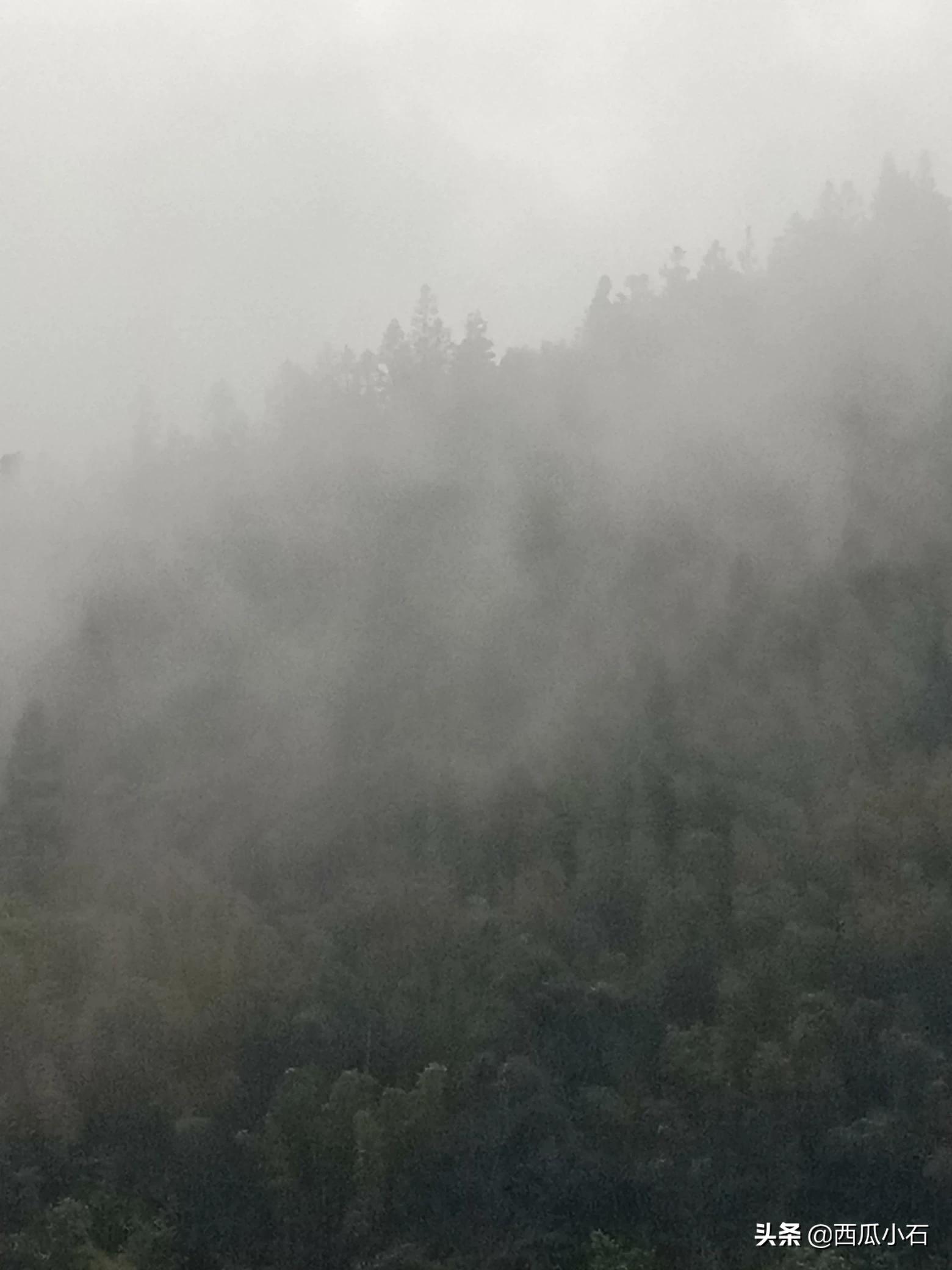 广东特大暴雨将来袭