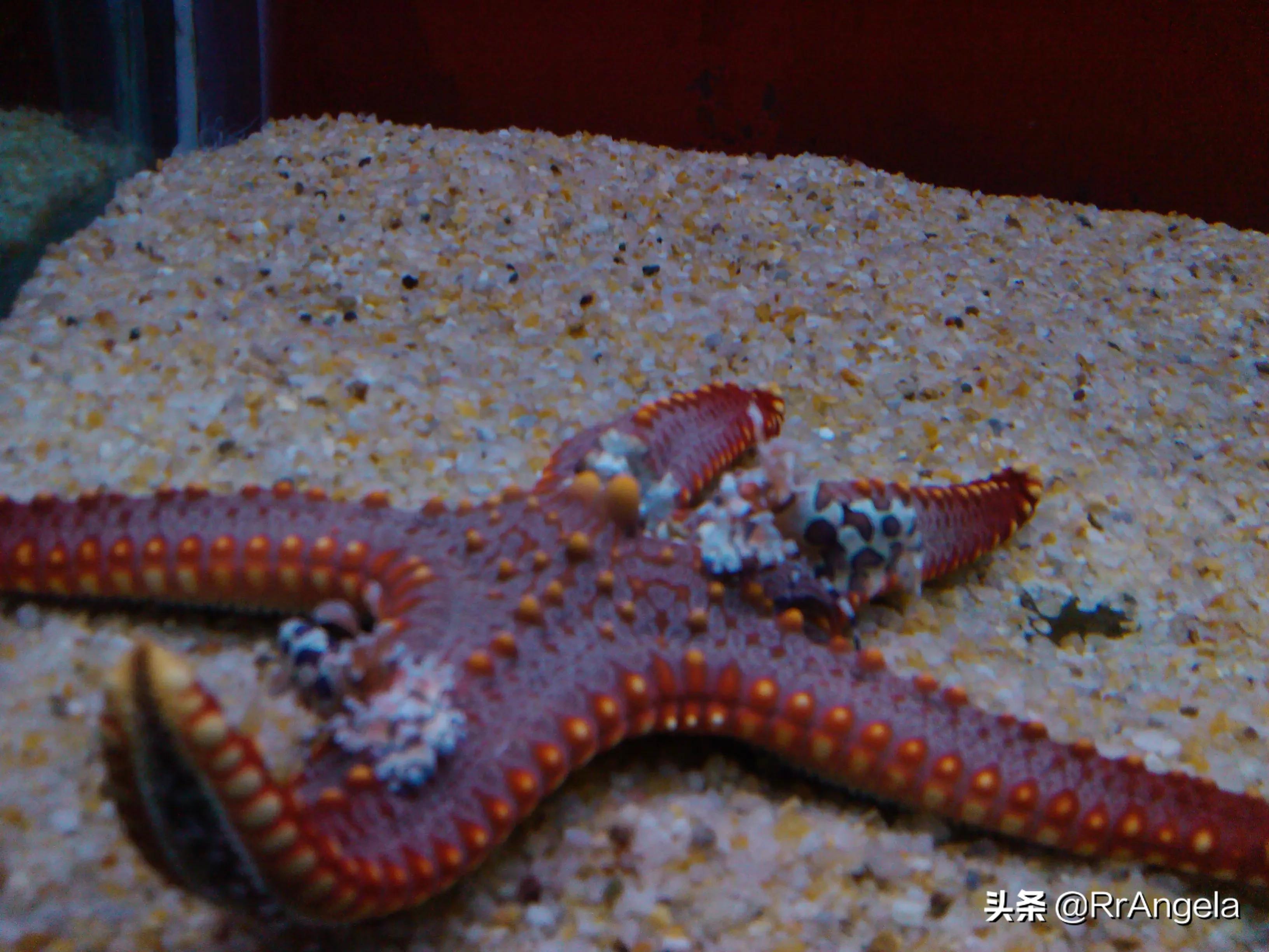 大连市哪个海边好 大连市哪个海边好