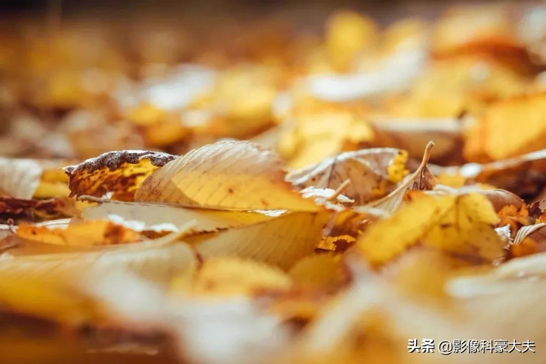 苏州市哪个医院肠肿瘤好