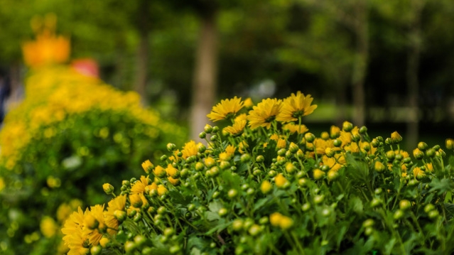 兰州安宁哪里最繁华? 兰州安宁哪里最繁华?