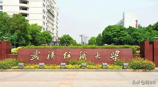 武汉除了7所985、211还有哪些比较好的大学？