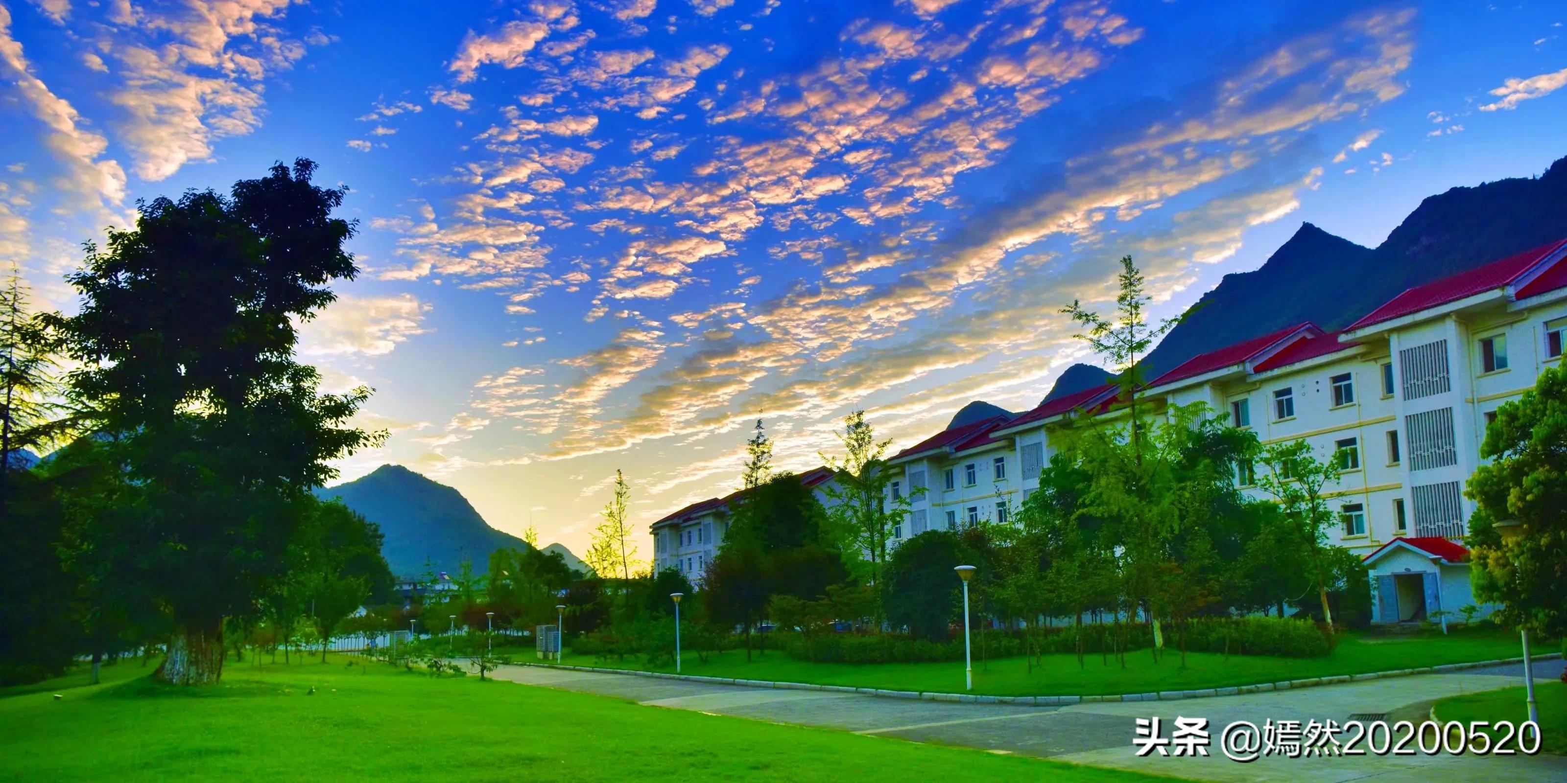 相机af（相机中的AF是什么意思？）