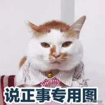 勒死情人水泥埋尸