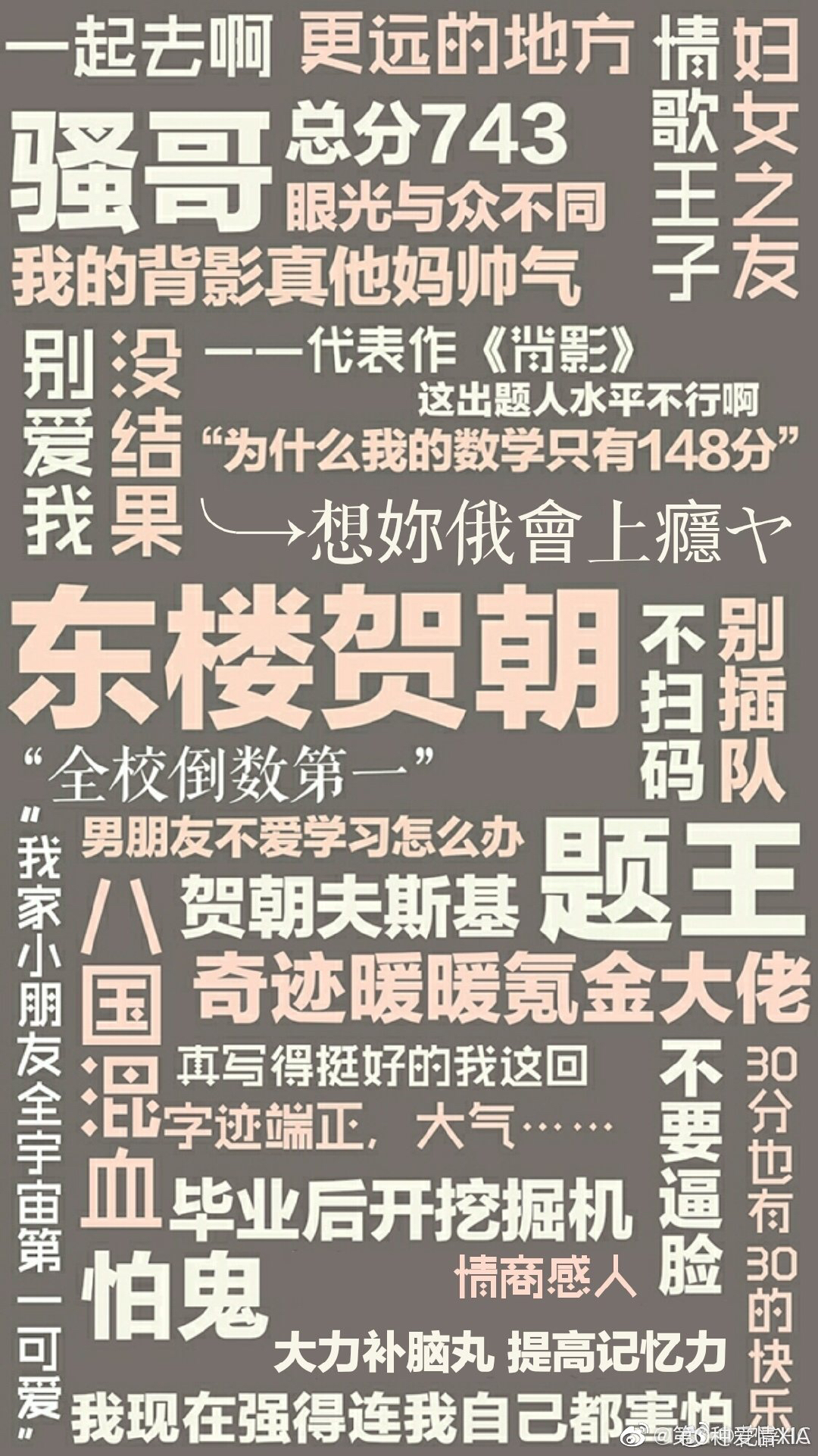 动漫中的百合，BL，腐女等等专业术语是什么？