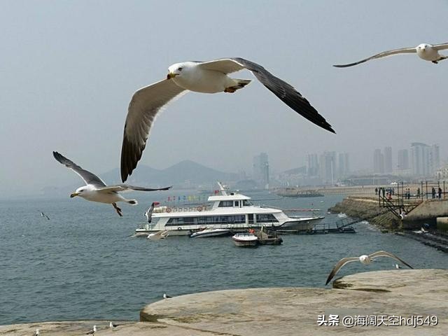 重庆大连市是什么意思