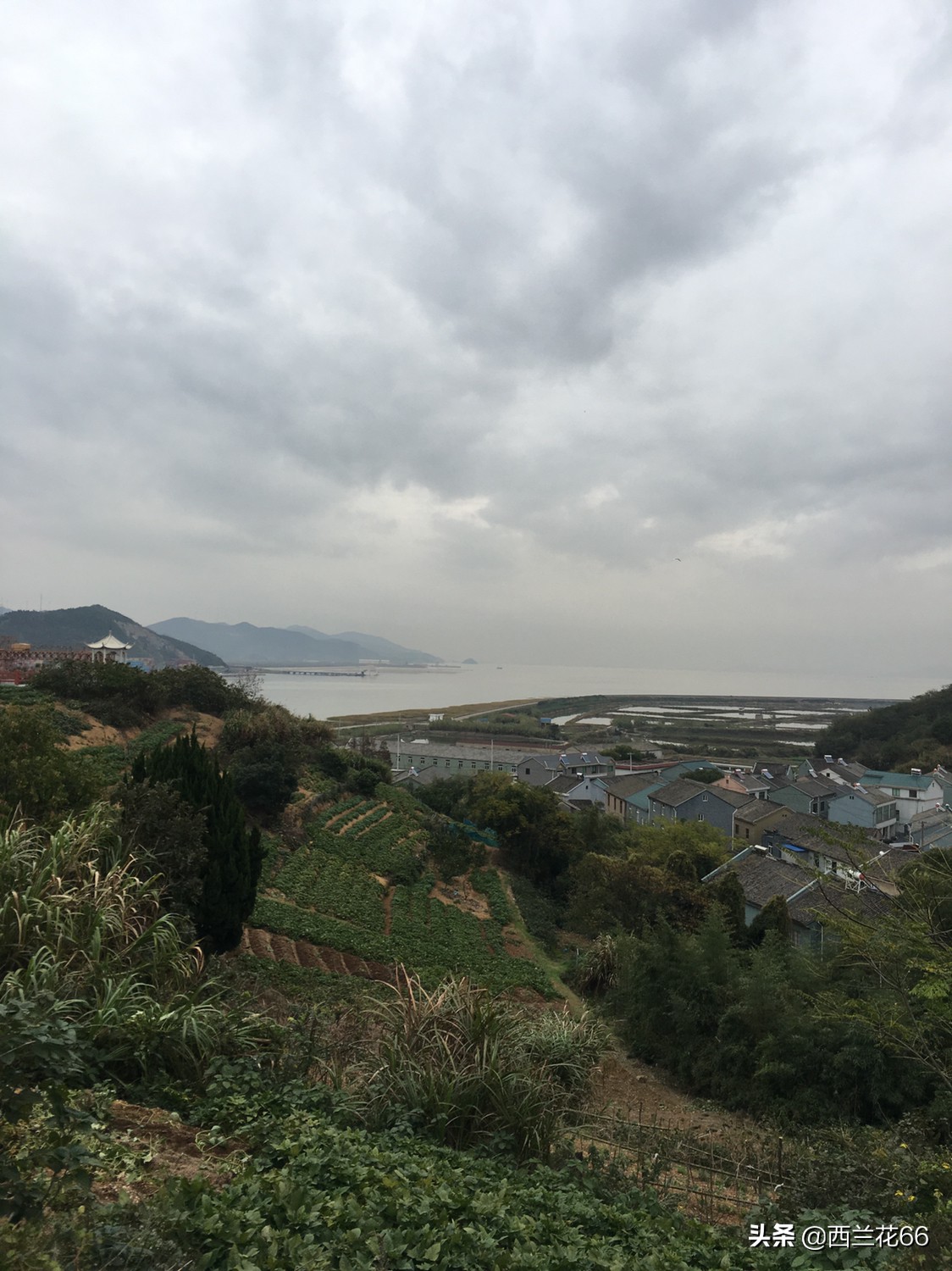 旅游变骨灰被寄回家