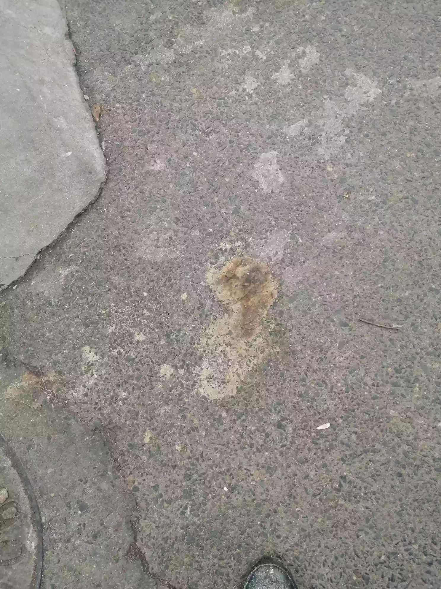 二狗子的海外生活，二狗子的海外生活视频
