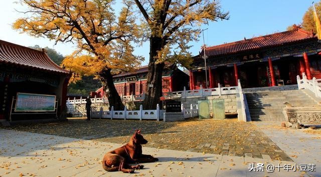 河南哪个城市停车免费