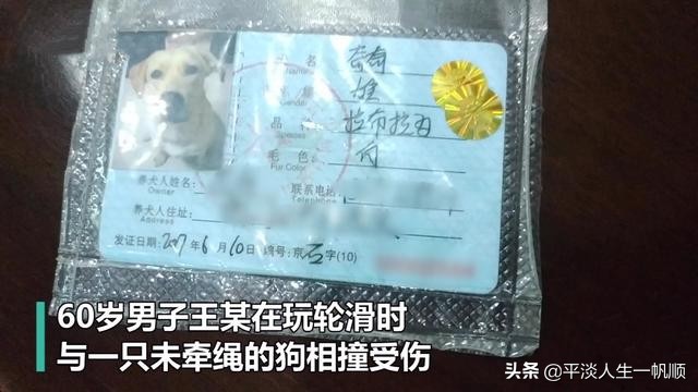 未牵绳大狗扑1岁娃（如何看待60岁大爷玩轮滑和未牵绳的狗相撞，致大腿骨折十级伤残，索赔23万，双方各执一词？）