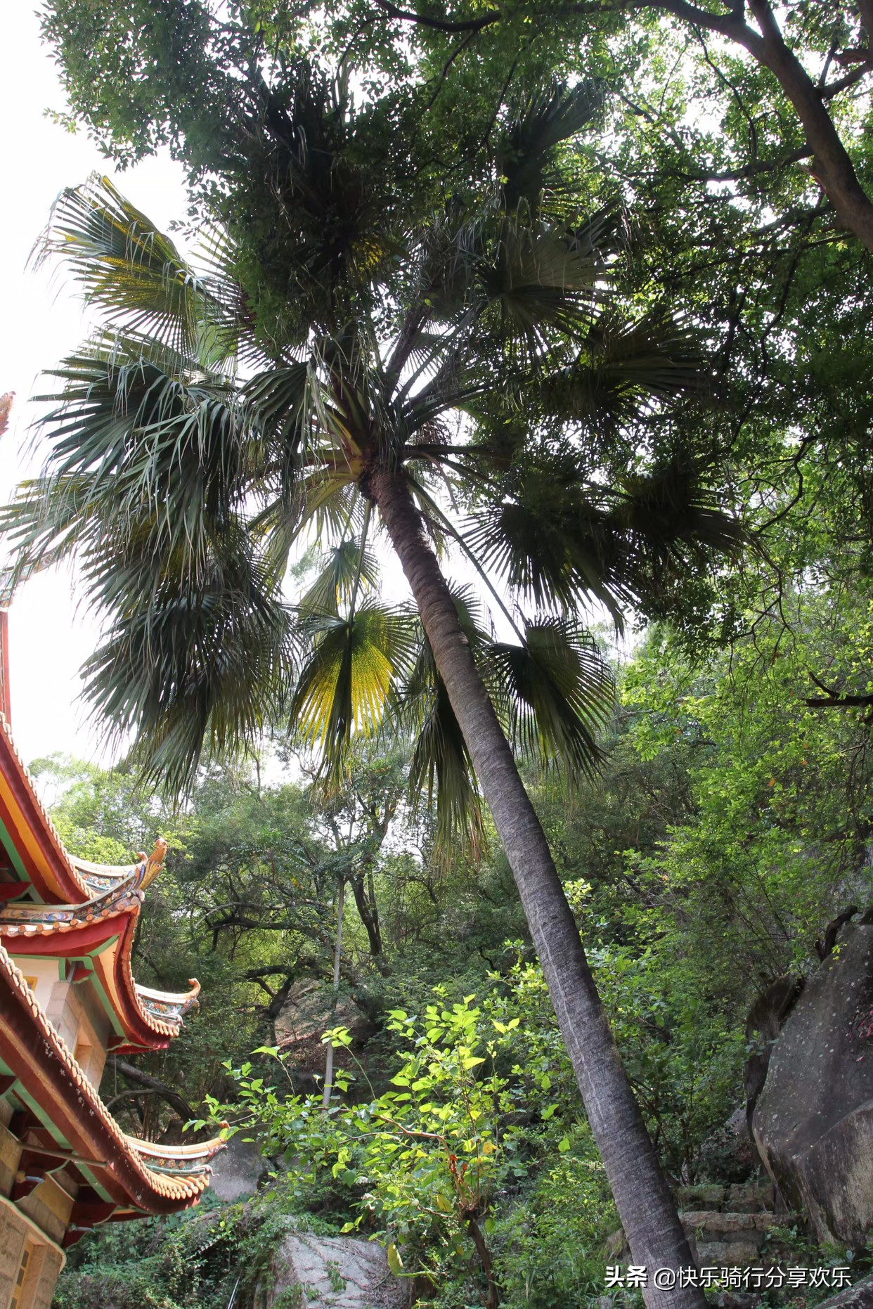 哈尔滨市室外公园在哪里