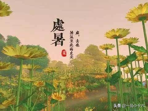 [今天处暑]今天是处暑的祝福词？
