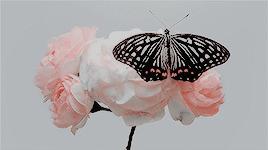 南宁市52中学怎么样