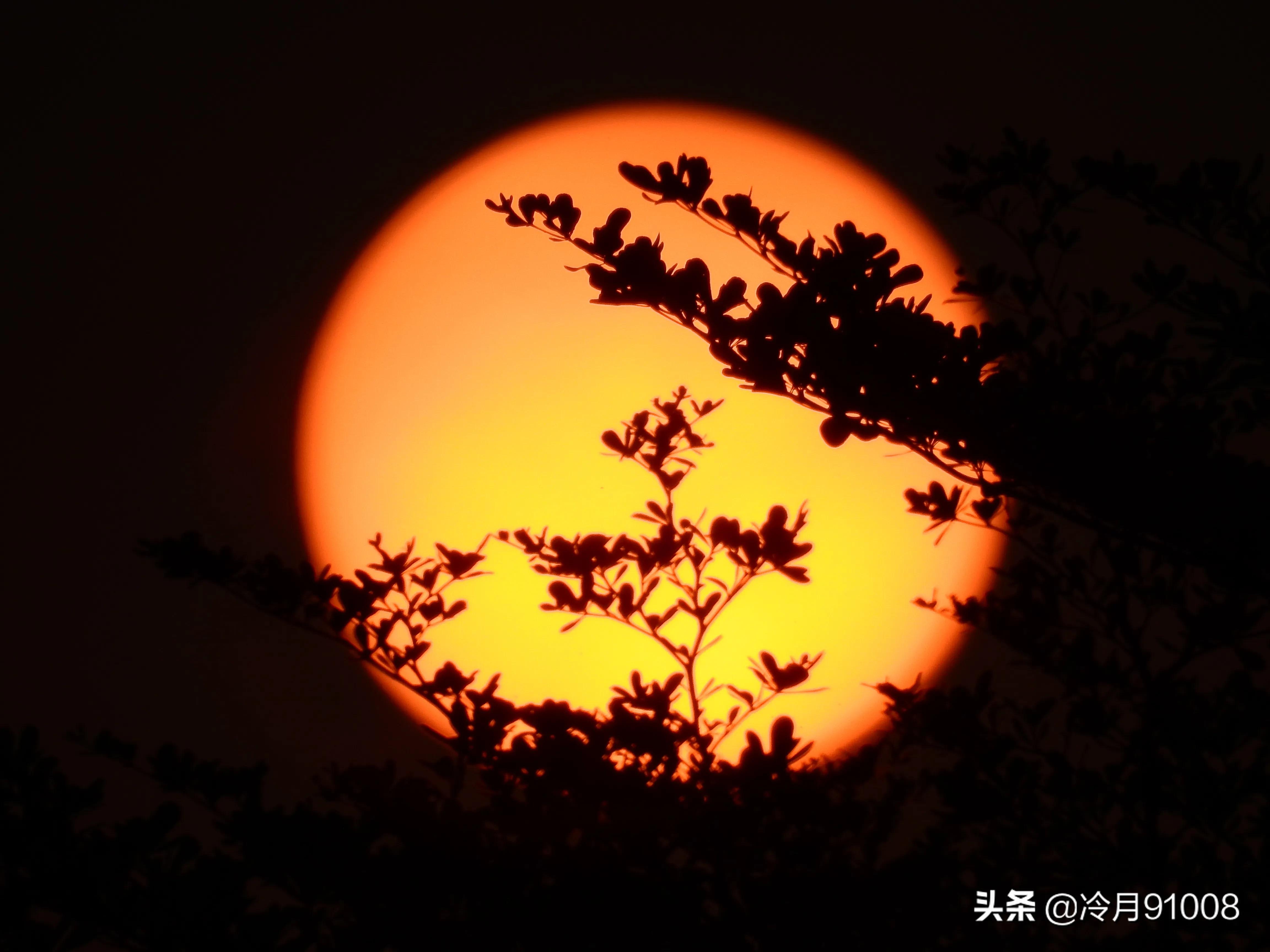 尼康p900尼康p900s详细参数