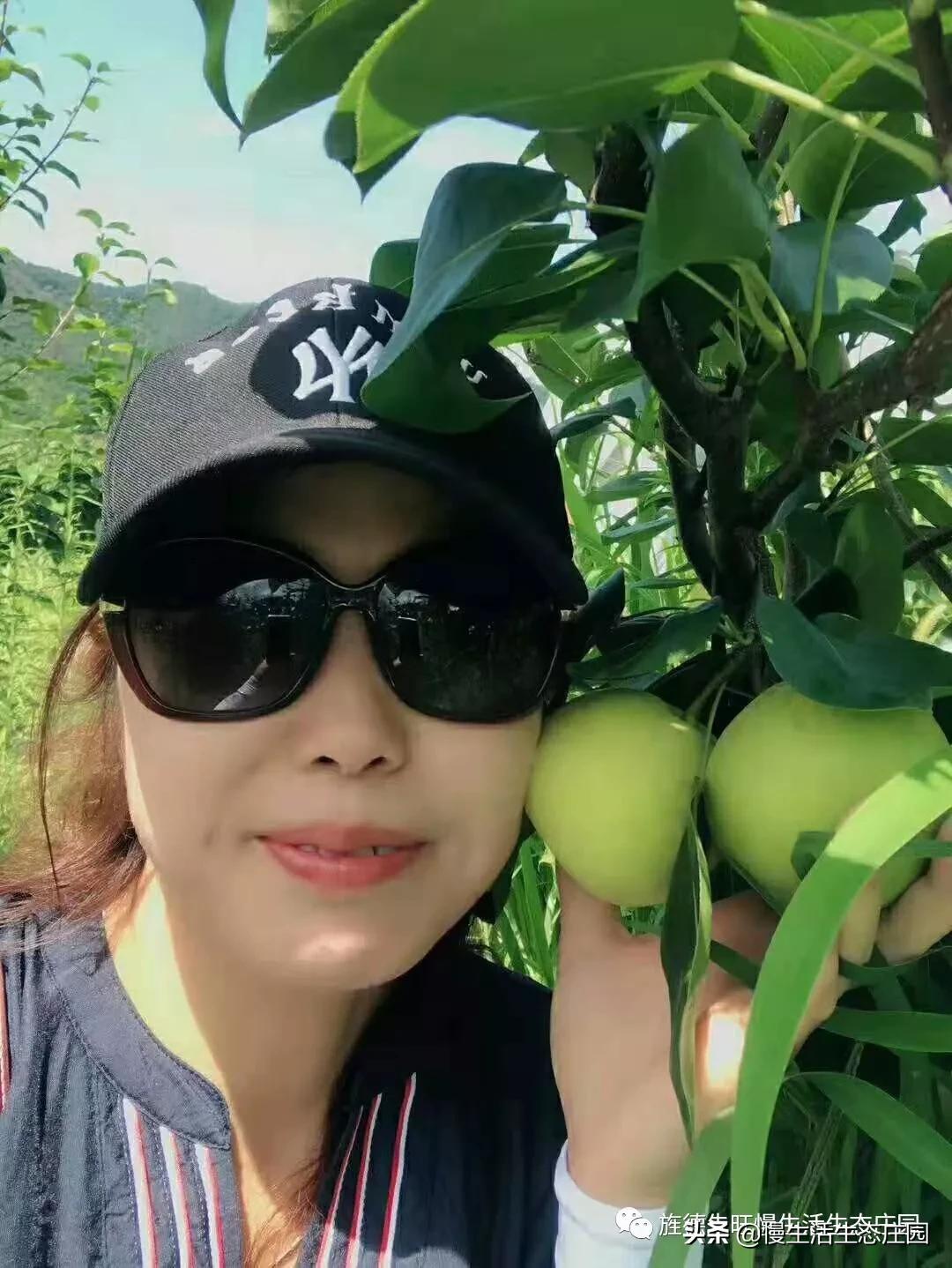 无锡市哪里有卖果树苗
