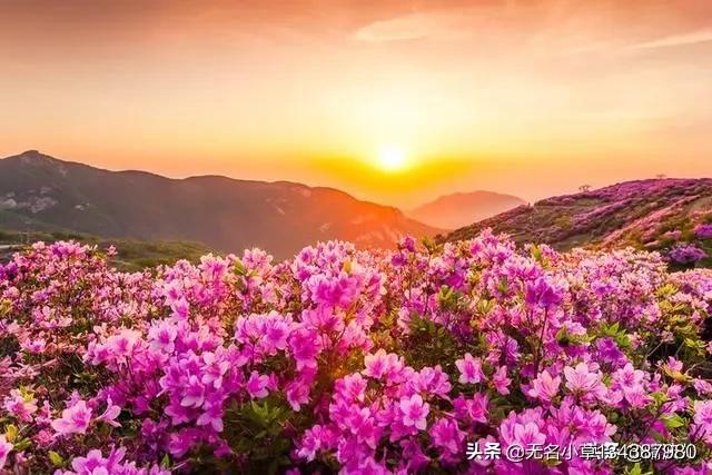 海外生活中国人领物资，海外生活中国人领物资怎么领