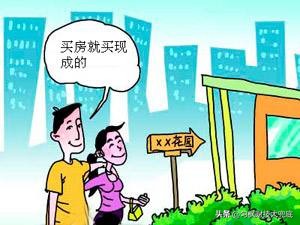 老白的海外生活，老白的旅行生活
