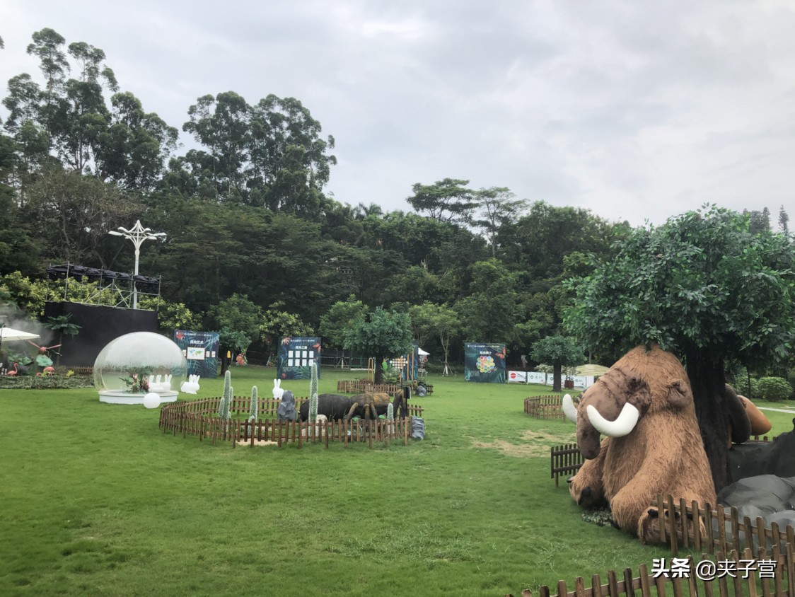 山东海外生活比较经济实惠，山东海外生活比较经济实惠的地方