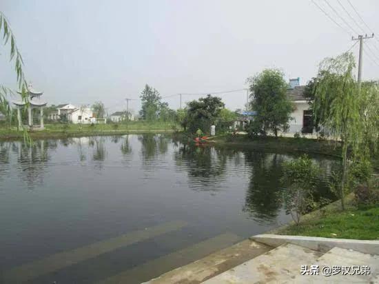 天津荷塘区发展怎么样