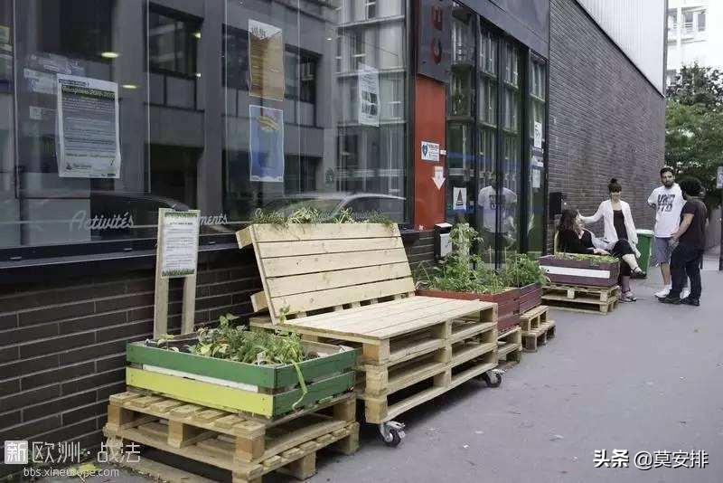 种菜海外生活视频大全，种菜海外生活视频大全集