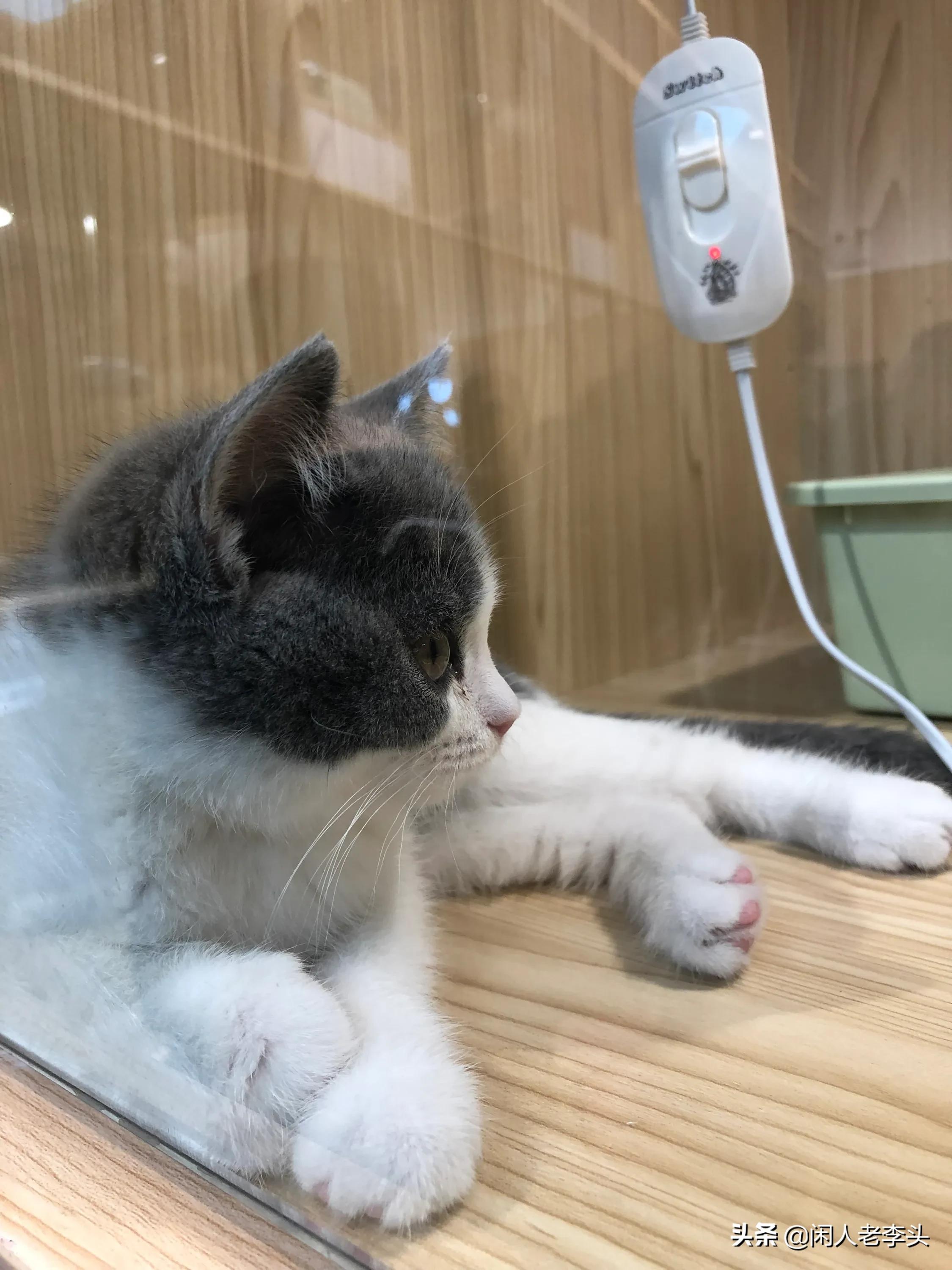 宝马425敞篷